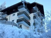 mountain and ski rentals: appartement # 81227