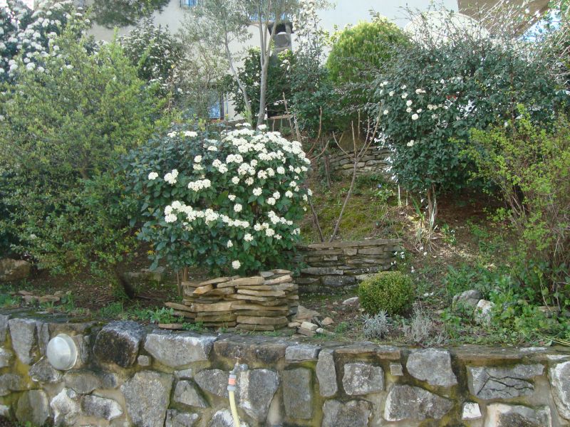 photo 14 Owner direct vacation rental Cassis bungalow Provence-Alpes-Cte d'Azur Bouches du Rhne Garden