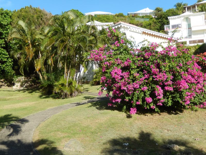 photo 17 Owner direct vacation rental Saint Francois appartement Grande Terre  Garden