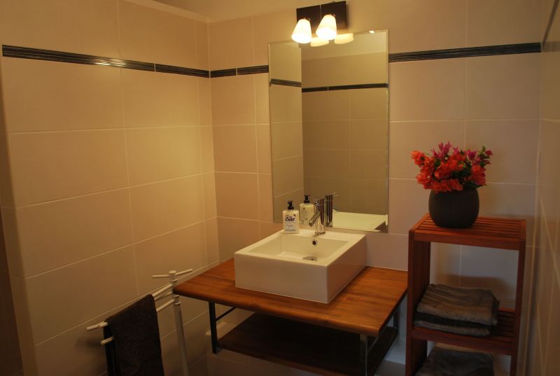 photo 12 Owner direct vacation rental Saint Francois appartement Grande Terre  bathroom