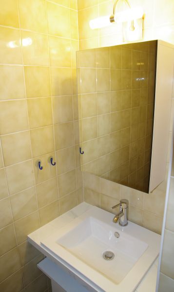 photo 20 Owner direct vacation rental Royan maison Poitou-Charentes Charente-Maritime bathroom