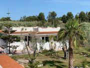 Peschici vacation rentals for 3 people: appartement # 95397