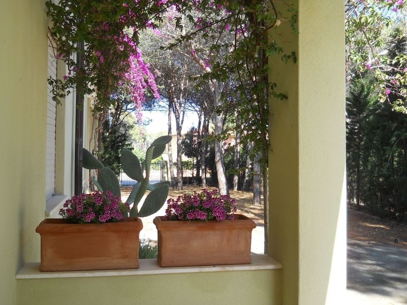 photo 22 Owner direct vacation rental Posada appartement Sardinia Nuoro Province Hall