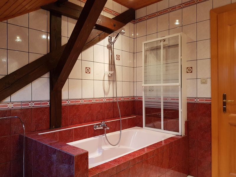 photo 12 Owner direct vacation rental Slestat gite Alsace Bas-Rhin Half bath