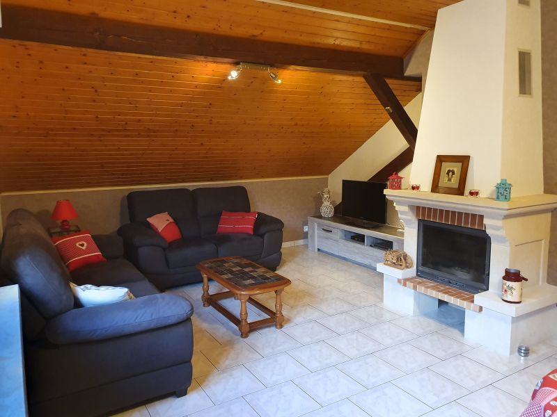 photo 5 Owner direct vacation rental Slestat gite Alsace Bas-Rhin Lounge