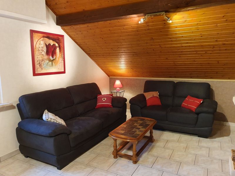 photo 4 Owner direct vacation rental Slestat gite Alsace Bas-Rhin Lounge