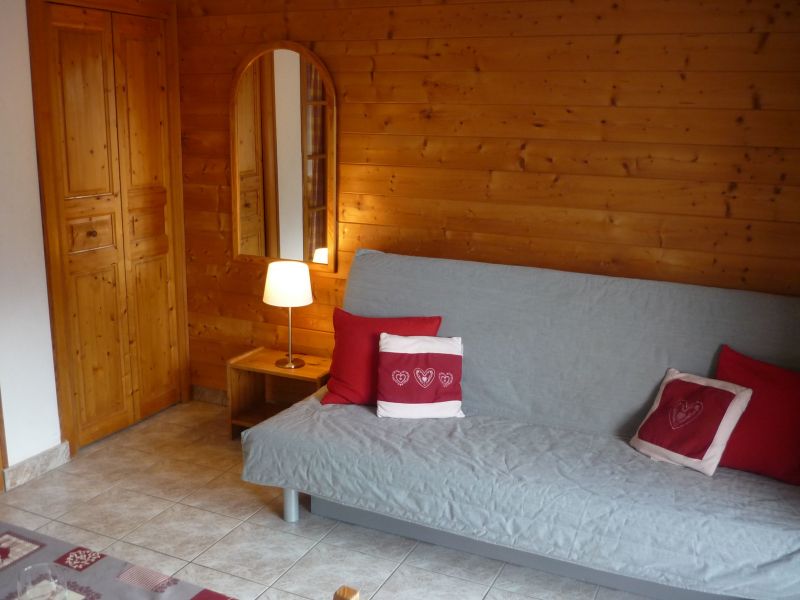 photo 3 Owner direct vacation rental Chtel studio Rhone-Alps Haute-Savoie View from the property