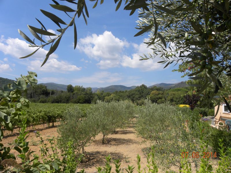 photo 13 Owner direct vacation rental Grimaud studio Provence-Alpes-Cte d'Azur Var View of the property from outside