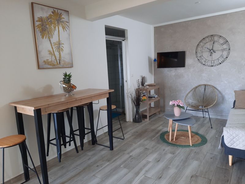 photo 2 Owner direct vacation rental Sainte Luce appartement