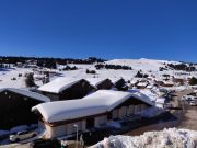 French Alps mountain and ski rentals: appartement # 128063