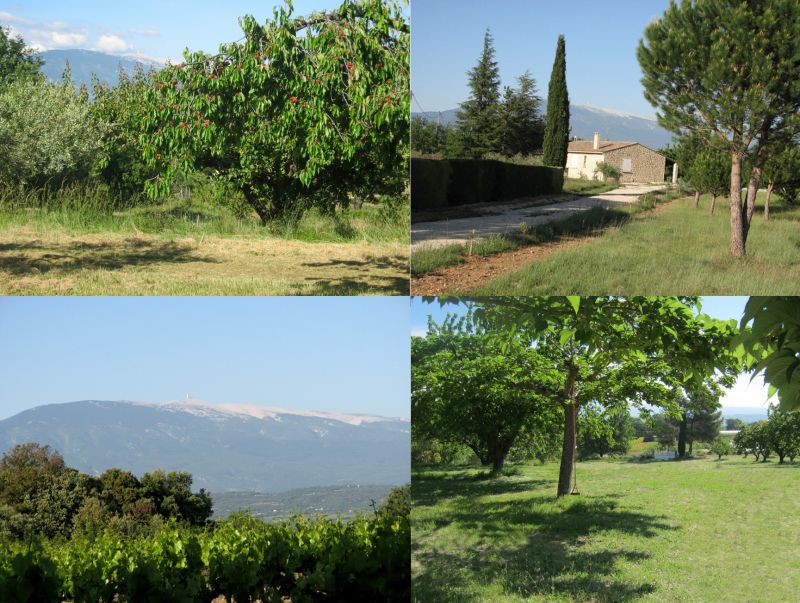photo 18 Owner direct vacation rental Carpentras villa Provence-Alpes-Cte d'Azur Vaucluse