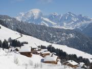 ski in/ski out vacation rentals: appartement # 66491