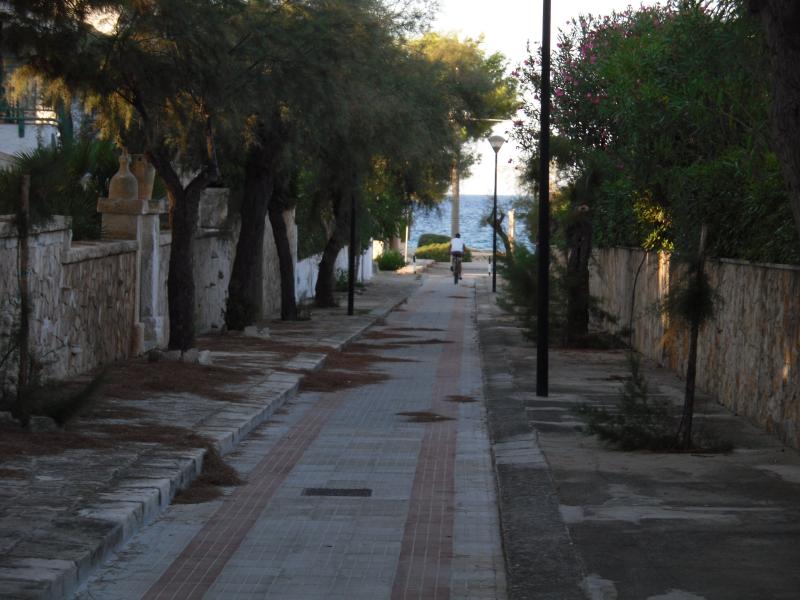 photo 22 Owner direct vacation rental Ostuni appartement Puglia Brindisi Province Other view