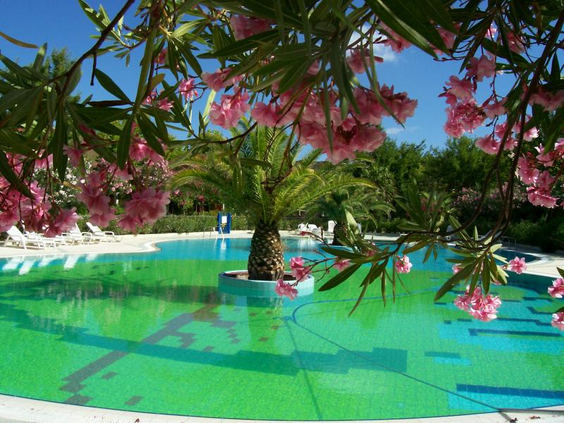 photo 17 Owner direct vacation rental Porto Ottiolu appartement Sardinia Olbia Tempio Province Swimming pool