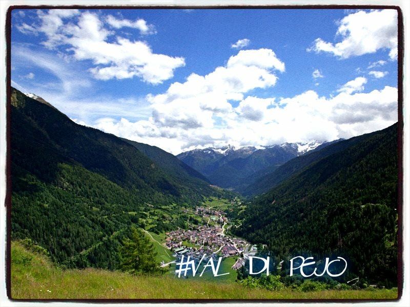photo 18 Owner direct vacation rental Peio (Pejo) appartement Trentino-South Tyrol Trento Province Other view