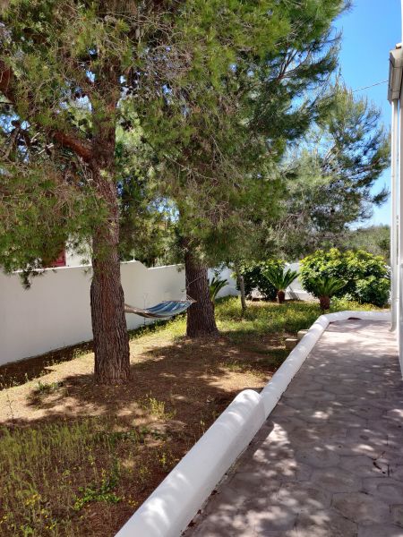 photo 16 Owner direct vacation rental Santa Maria di Leuca villa Puglia Lecce Province Garden