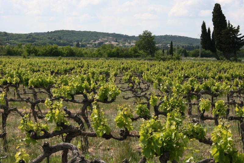 photo 16 Owner direct vacation rental Orange gite Provence-Alpes-Cte d'Azur Vaucluse View from the property