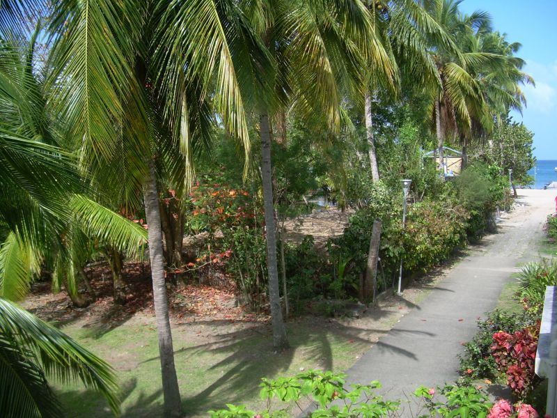 photo 10 Owner direct vacation rental Les Trois Ilets appartement   View from the balcony