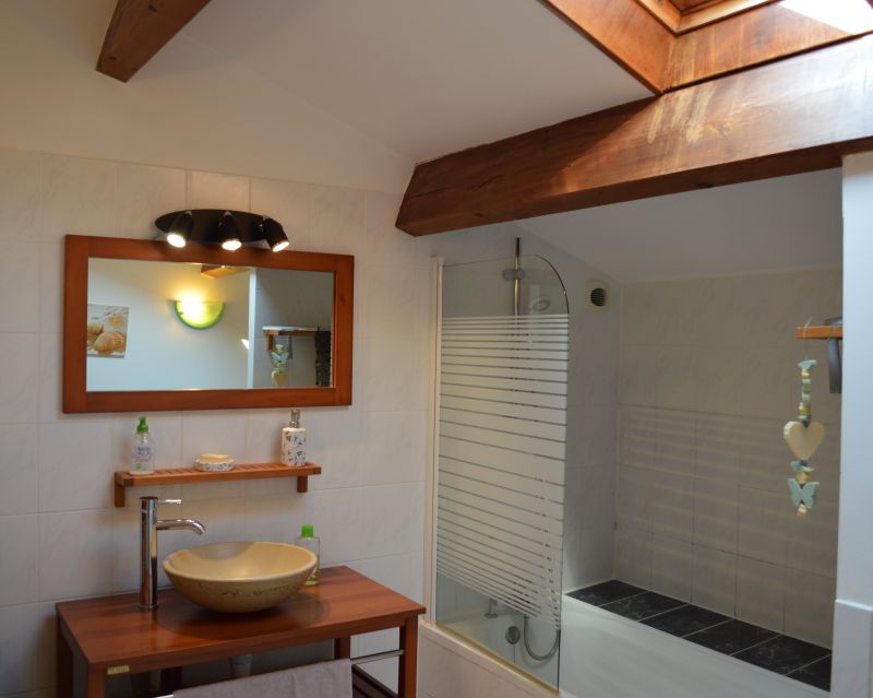 photo 6 Owner direct vacation rental La Rochelle maison Poitou-Charentes Charente-Maritime Half bath