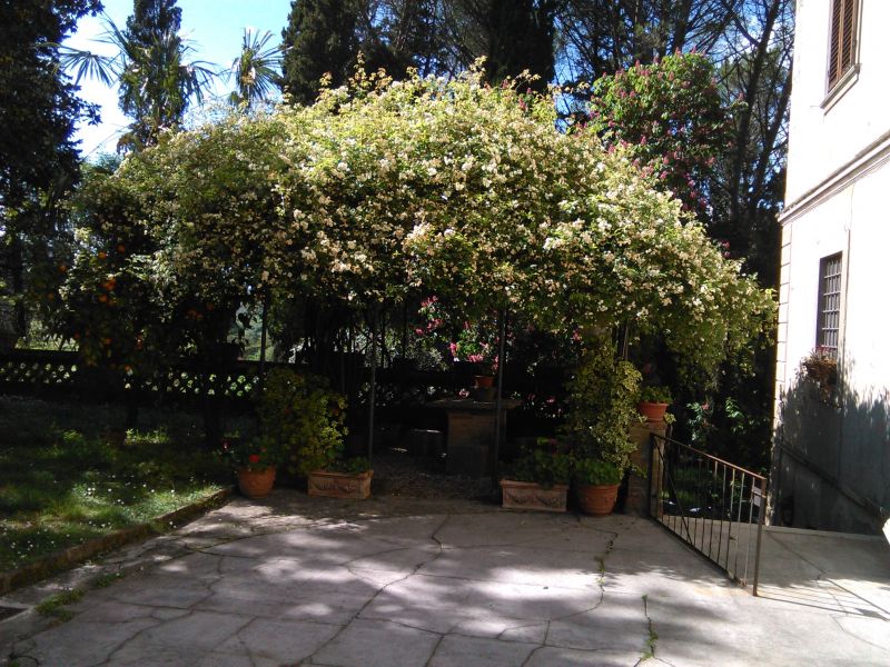 photo 25 Owner direct vacation rental Camaiore appartement Tuscany Lucca Province Garden