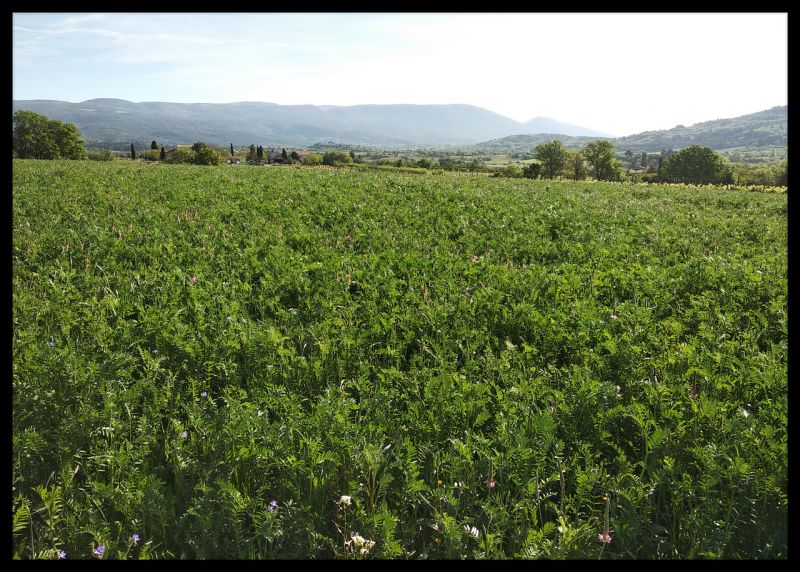 photo 8 Owner direct vacation rental Apt maison Provence-Alpes-Cte d'Azur Vaucluse View from the property