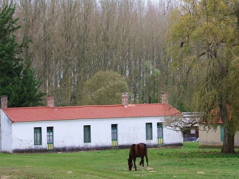 photo 19 Owner direct vacation rental Saint Hilaire de Riez appartement Pays de la Loire Vende