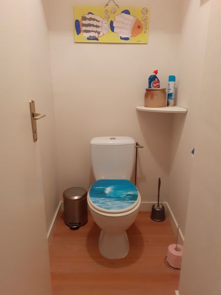 photo 8 Owner direct vacation rental Royan appartement   Bathroom w/toilet only
