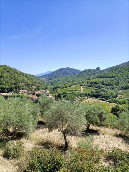 photo 28 Owner direct vacation rental Carpentras gite Provence-Alpes-Cte d'Azur Vaucluse