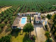 Tre Fontane swimming pool vacation rentals: villa # 123590