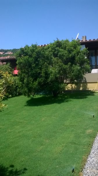 photo 10 Owner direct vacation rental Costa Rei appartement Sardinia Cagliari Province Garden