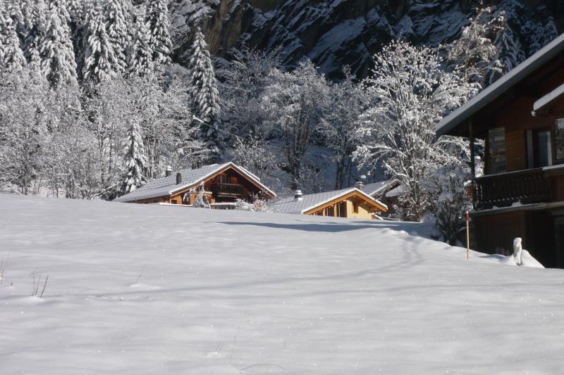 photo 2 Owner direct vacation rental Pralognan la Vanoise chalet Rhone-Alps Savoie View of the property from outside