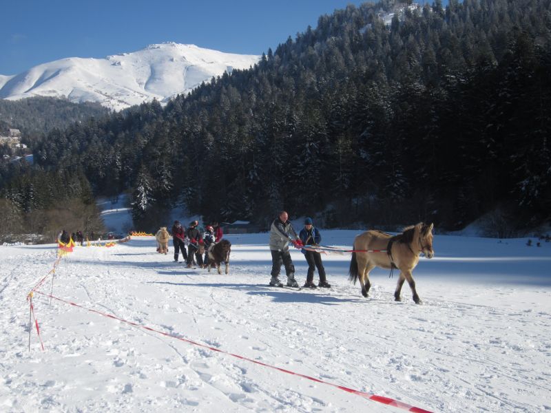 photo 13 Owner direct vacation rental Le Lioran studio Auvergne Cantal Surroundings