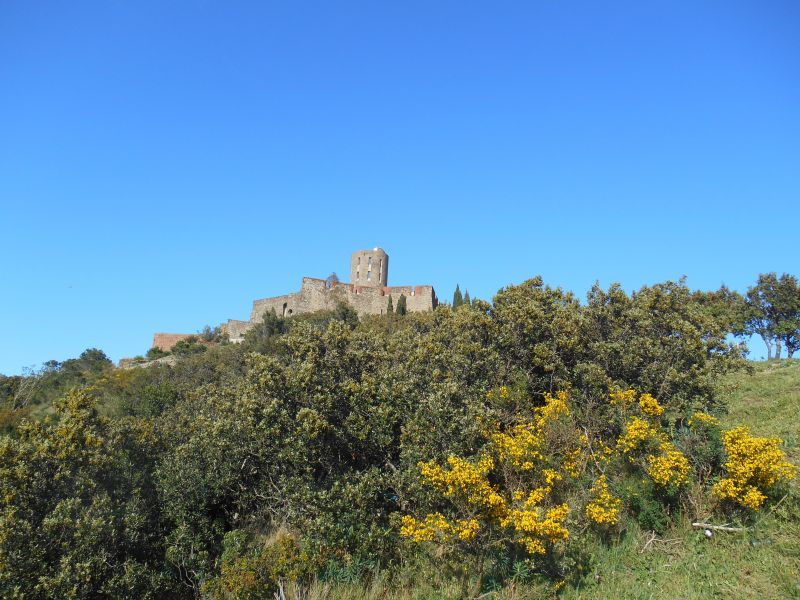 photo 21 Owner direct vacation rental Collioure appartement Languedoc-Roussillon Pyrnes-Orientales Other view