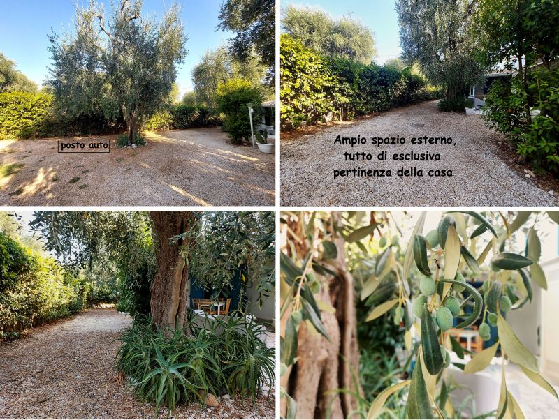 photo 4 Owner direct vacation rental Mattinata maison Puglia Foggia Province View of the property from outside