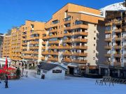 Mribel ski resort rentals: appartement # 111963