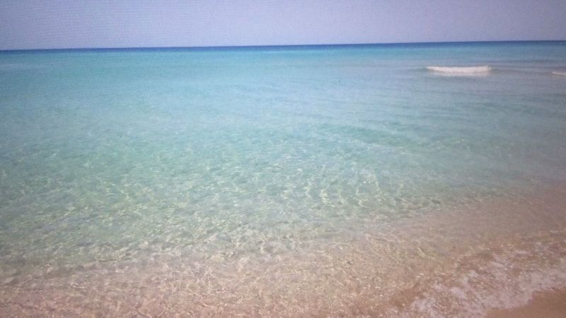 photo 18 Owner direct vacation rental Torre Lapillo appartement Puglia Lecce Province