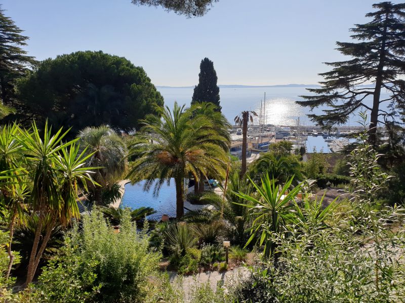photo 5 Owner direct vacation rental Le Lavandou villa Provence-Alpes-Cte d'Azur Var Garden