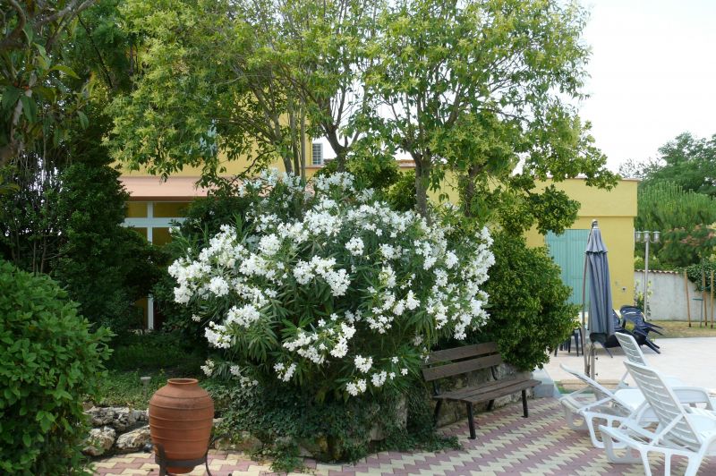 photo 16 Owner direct vacation rental Beziers gite Languedoc-Roussillon Hrault Garden