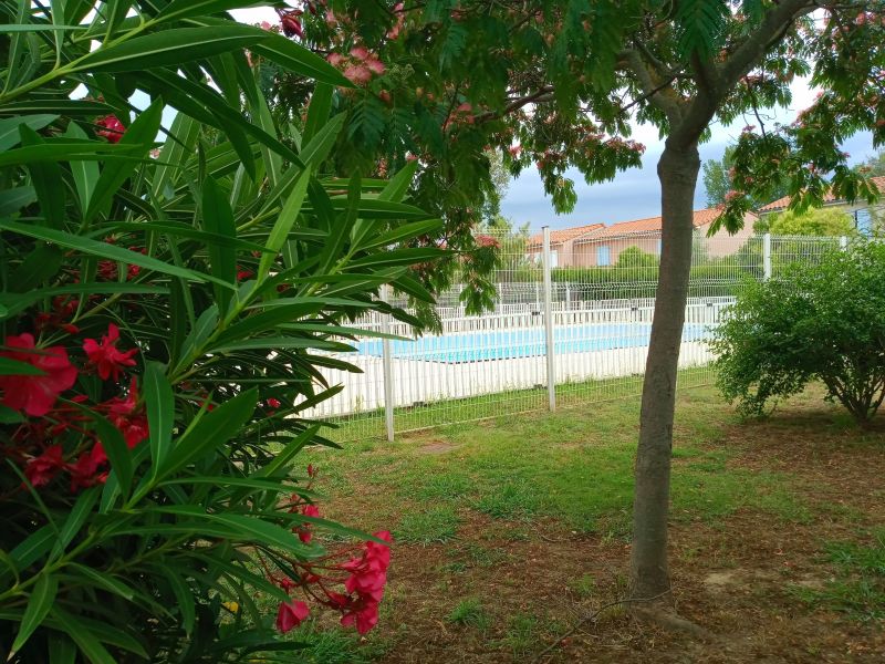 photo 6 Owner direct vacation rental Perpignan maison Languedoc-Roussillon Pyrnes-Orientales Swimming pool