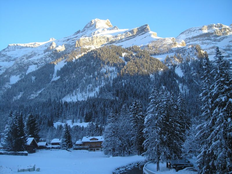 photo 4 Owner direct vacation rental Les Diablerets appartement Vaud