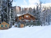 vacation rentals mountain chalets: chalet # 91812