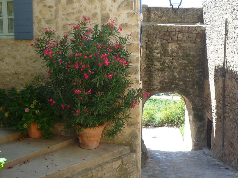 photo 12 Owner direct vacation rental La Tour d'Aigues gite Provence-Alpes-Cte d'Azur Vaucluse