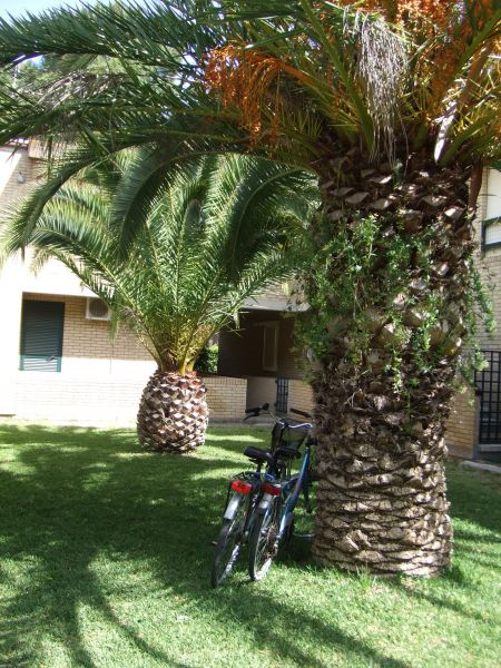 photo 25 Owner direct vacation rental Principina a Mare appartement Tuscany Grosseto Province Garden