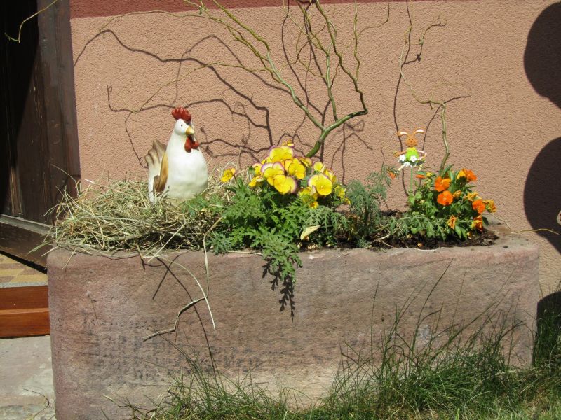 photo 24 Owner direct vacation rental Colmar gite Alsace Haut-Rhin View of the property from outside