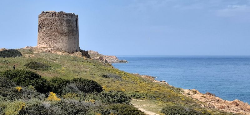 photo 24 Owner direct vacation rental Isola Rossa appartement Sardinia Olbia Tempio Province View from the terrace