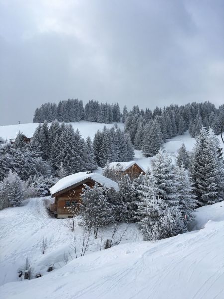photo 24 Owner direct vacation rental Manigod-Croix Fry/L'tale-Merdassier appartement Rhone-Alps Haute-Savoie Surroundings