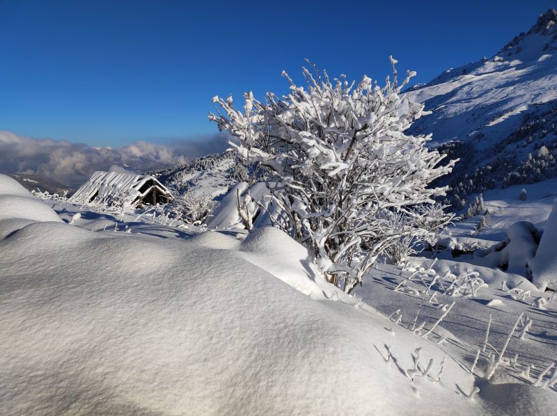 photo 26 Owner direct vacation rental Mribel appartement Rhone-Alps Savoie Surroundings