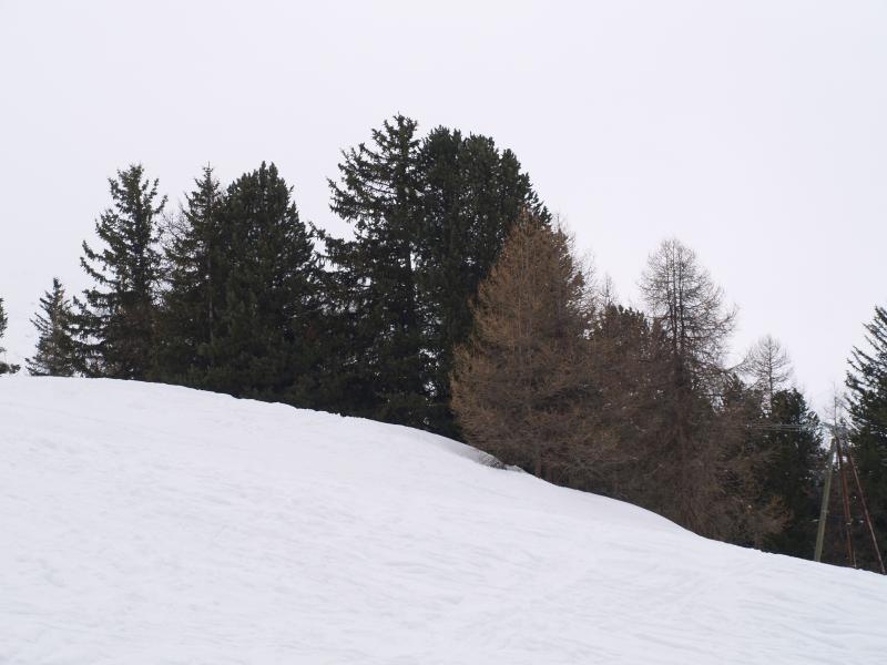 photo 8 Owner direct vacation rental La Plagne studio Rhone-Alps Savoie View from the terrace