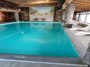 France swimming pool vacation rentals: appartement # 111565