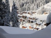 Haute-Savoie vacation rentals for 3 people: appartement # 112825